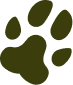 Simplified olive-green paw print with four toes.