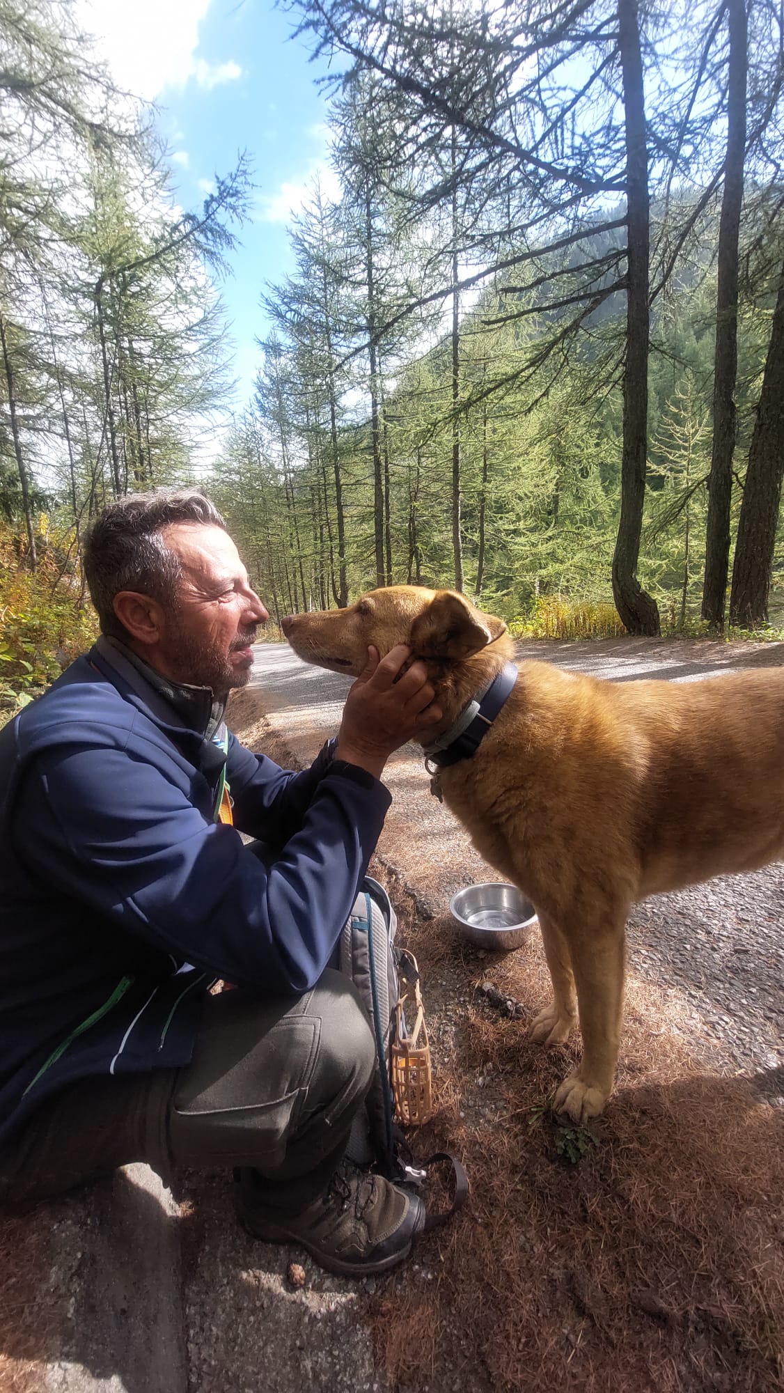 Man squatting and gently holding the face of a large brown dog with a collar on a forest path.