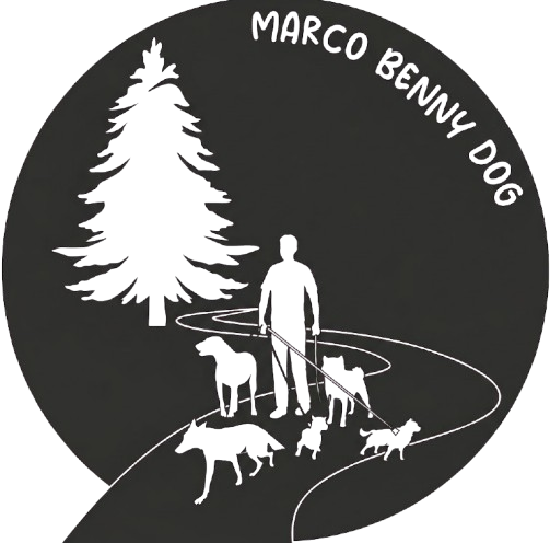 Silhouette of a person walking multiple dogs on a winding path with a large tree nearby and text 'MARCO BENNY DOG' above.