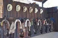 Saddles, bridles and hats ready in the tack room.