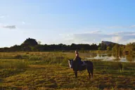 A rider on a grey horse beside the water.
