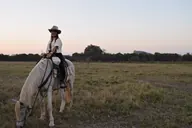 A rider on a white horse at dusk.