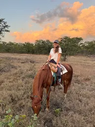 A rider beneath golden clouds at the end of the day.