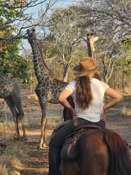 A rider watching a giraffe on the reserve.