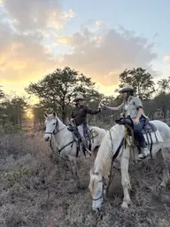 Two riders pause in the bush as the sun sets.