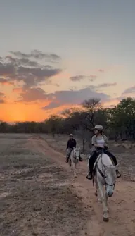 An evening ride beneath an orange and blue sky.
