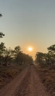 Sunset over a sandy bush track.