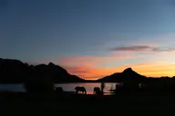 The herd beside the lake at sunset