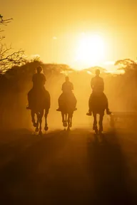 Three riders in the golden evening light
