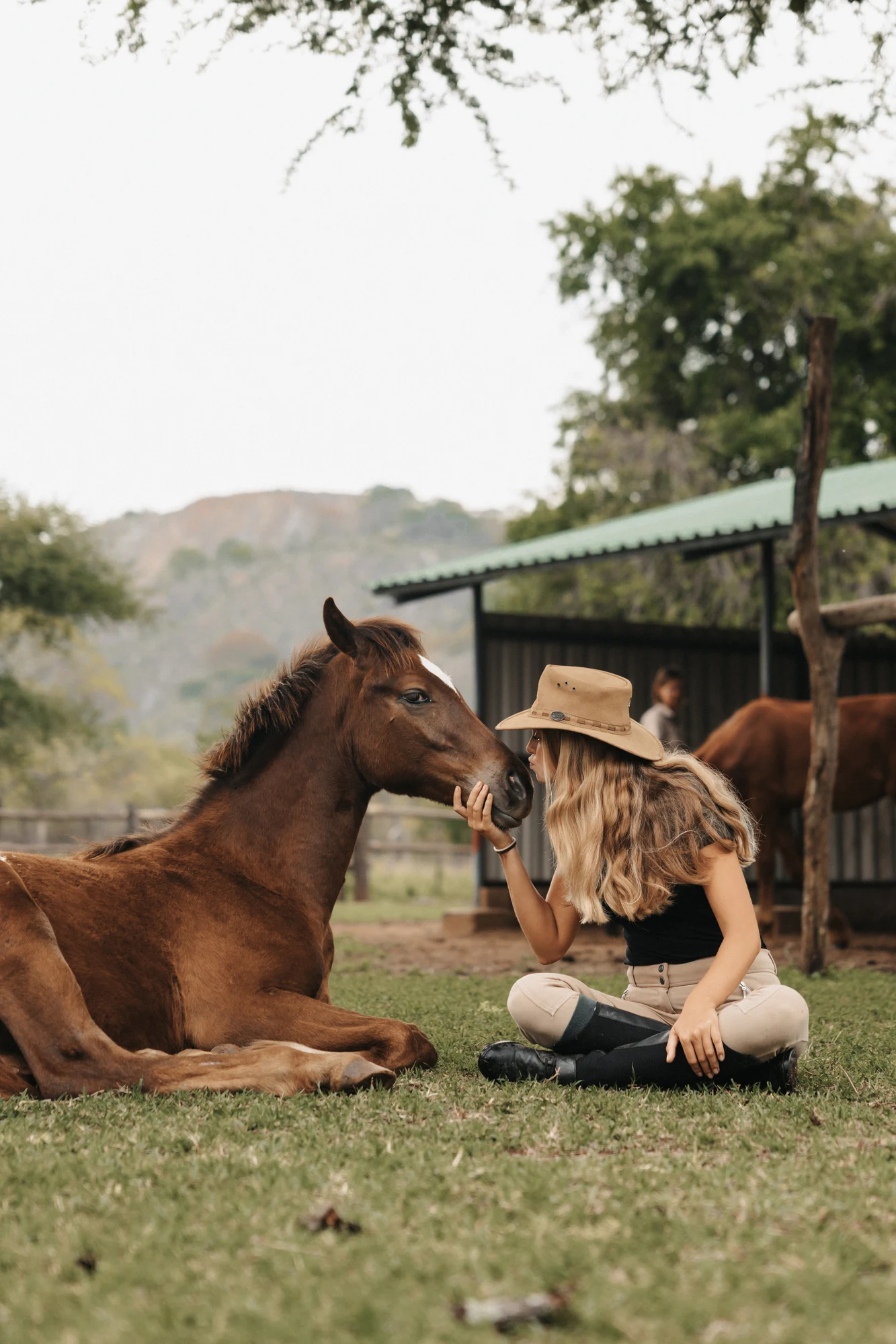 A quiet connection with a horse in Zimbabwe