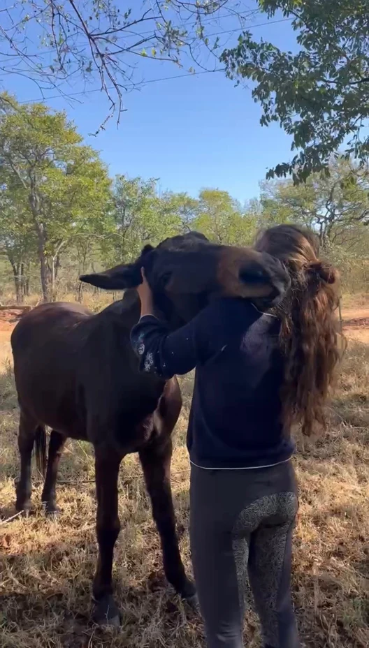 Spending time with a horse among the trees.