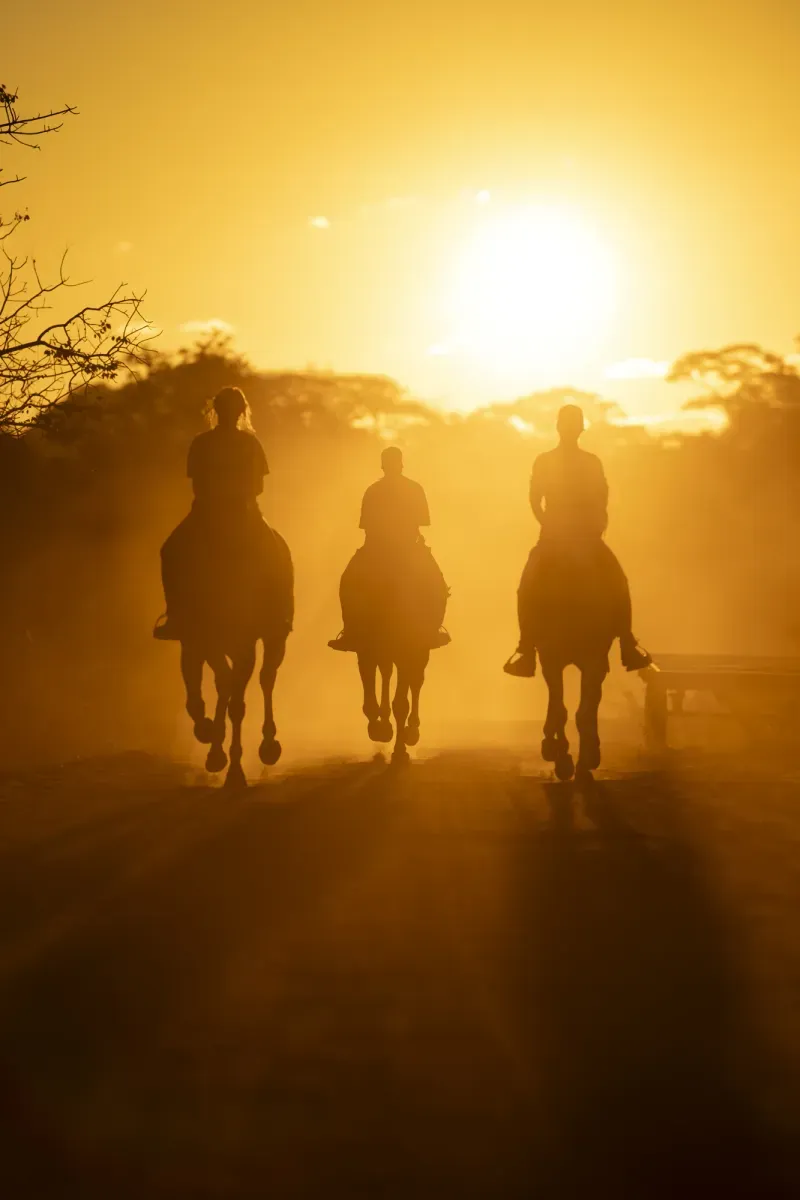 Three riders in the golden evening light
