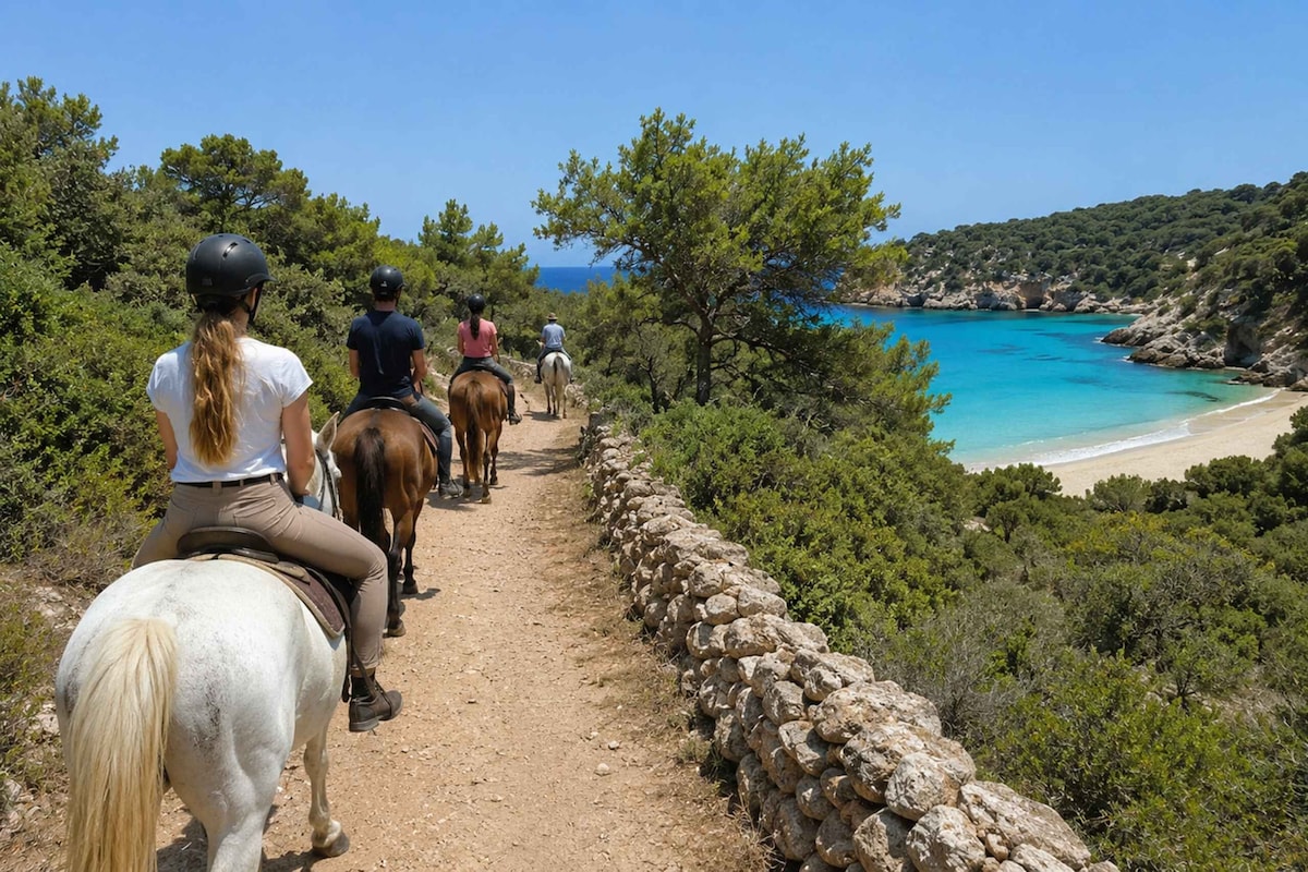 A guided ride along the pine-framed coastal trail above Cala Mitjana.