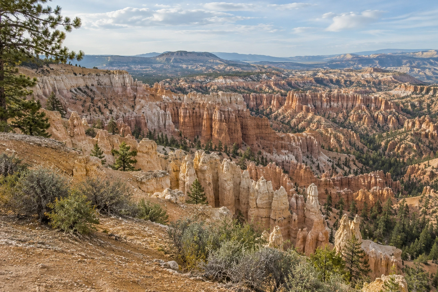 Illustrative view of pale peach and rust-colored hoodoos with pines and sage scrub.