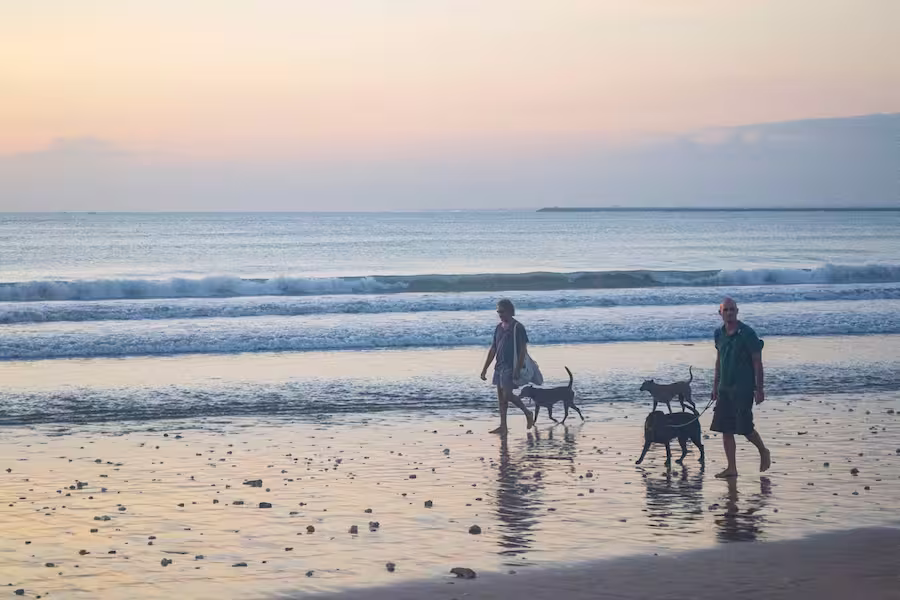 couple with three dogs walking on the beach in Bali