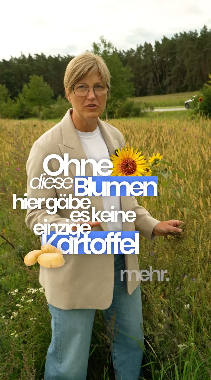 Blühstreifen Thumbnail