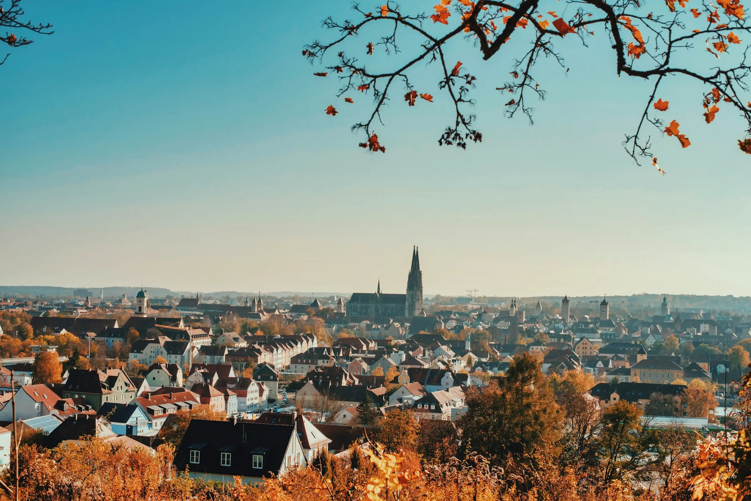 Social Media Agentur Oberpfalz