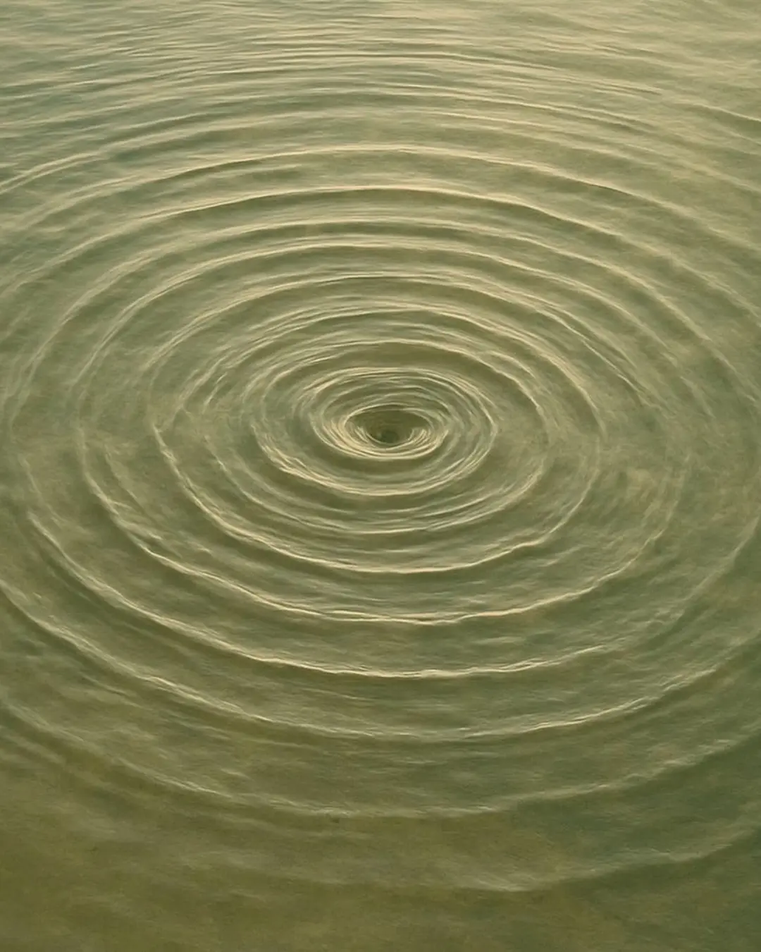 Concentric water ripples spreading outward from a central point on a calm greenish water surface.