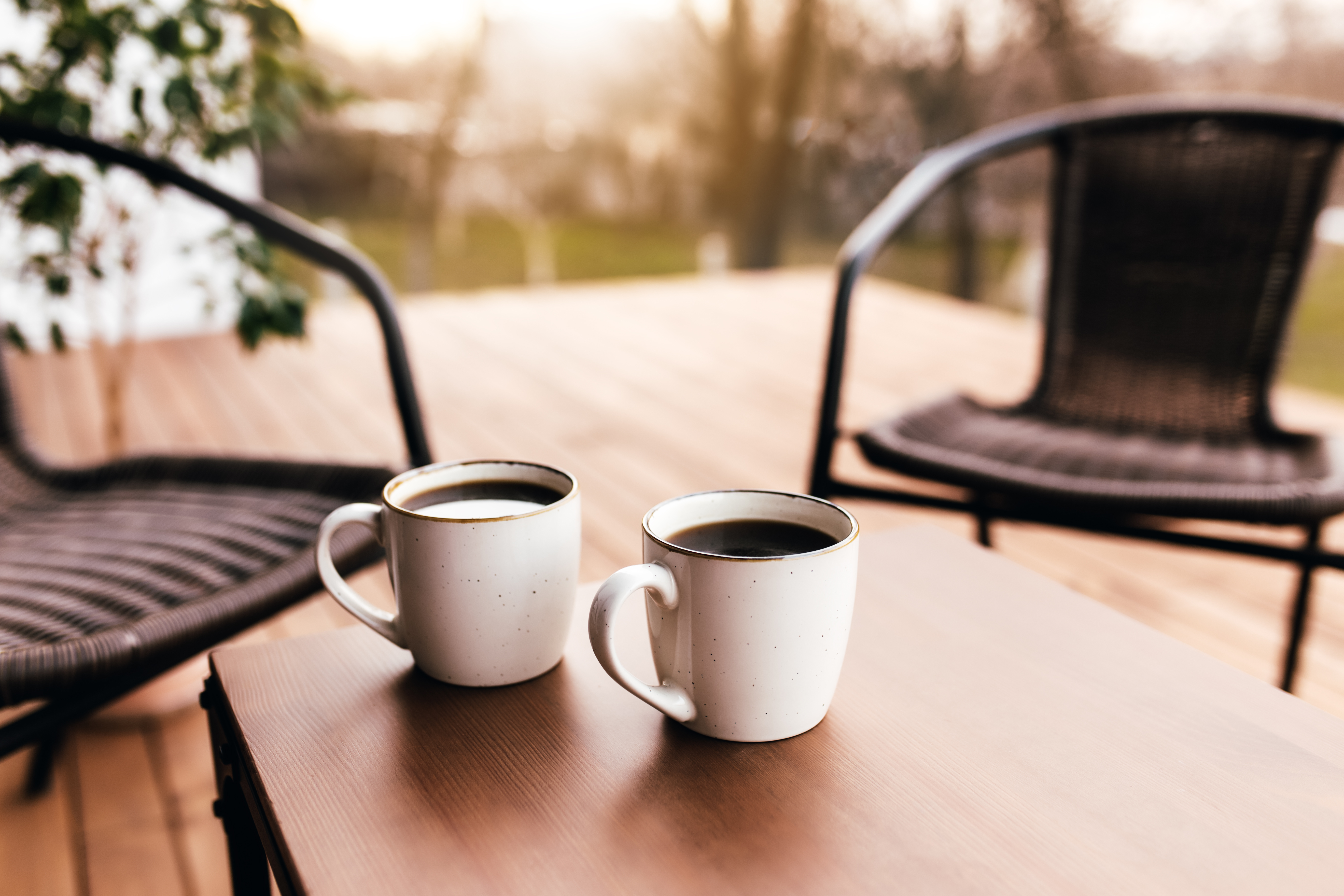 Two chairs and coffee cups — personal real estate consultation with Roz White