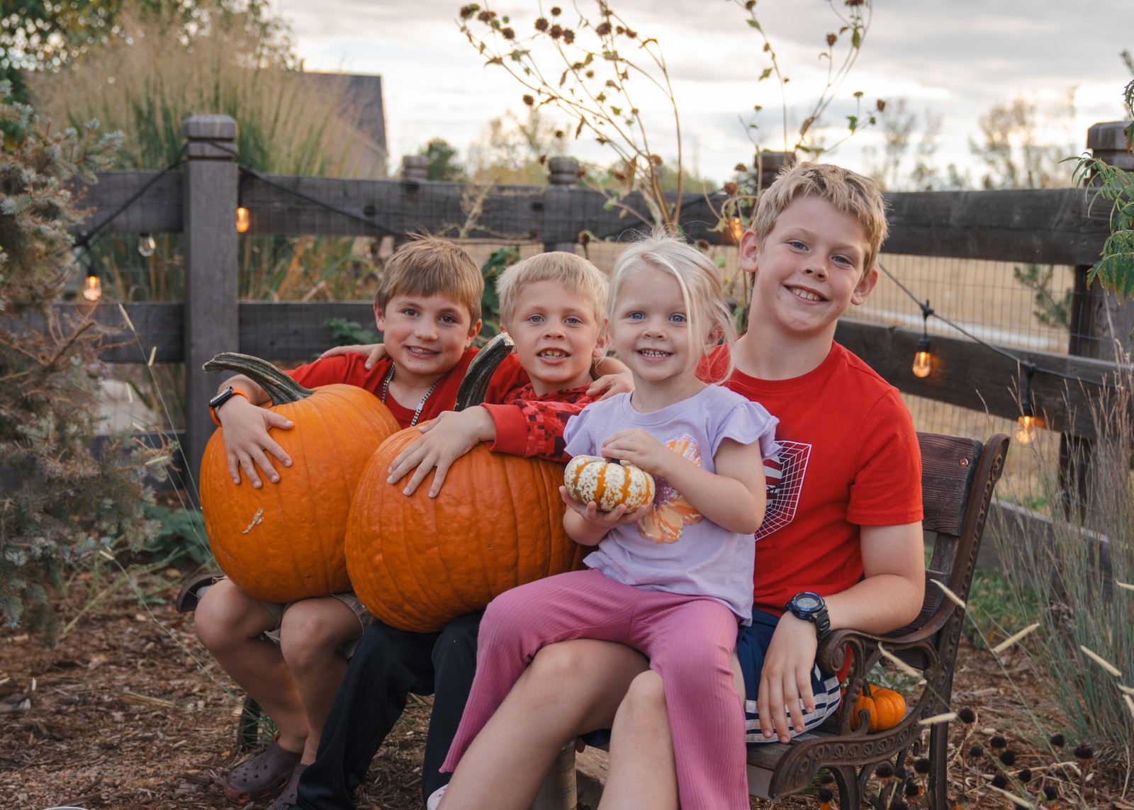 Four people sit close together on a garden bench holding large pumpkins, wearing red and plaid tops, with string lights behind them.