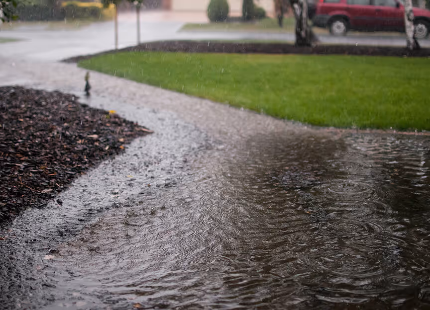 A well-maintained yard illustrating the prevention of soil erosion through effective gutter water diversion.