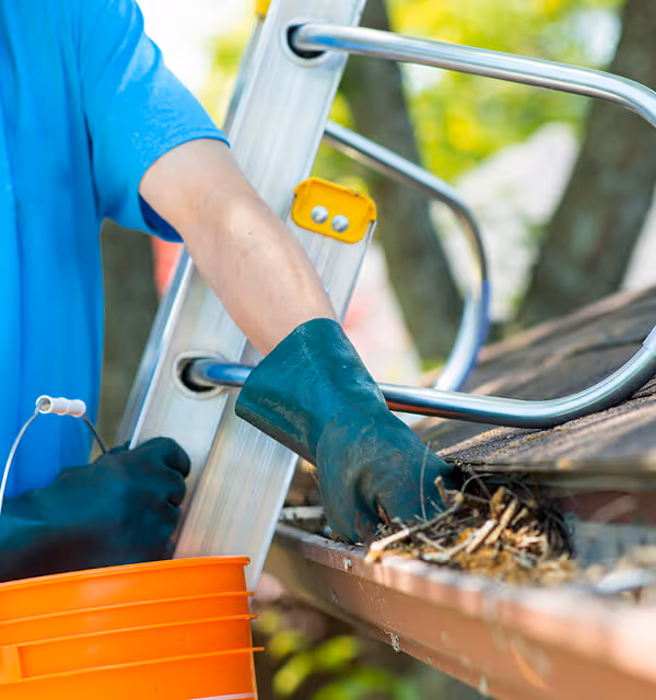 Professional gutter cleaning removing leaves and debris to prevent clogs and water damage.