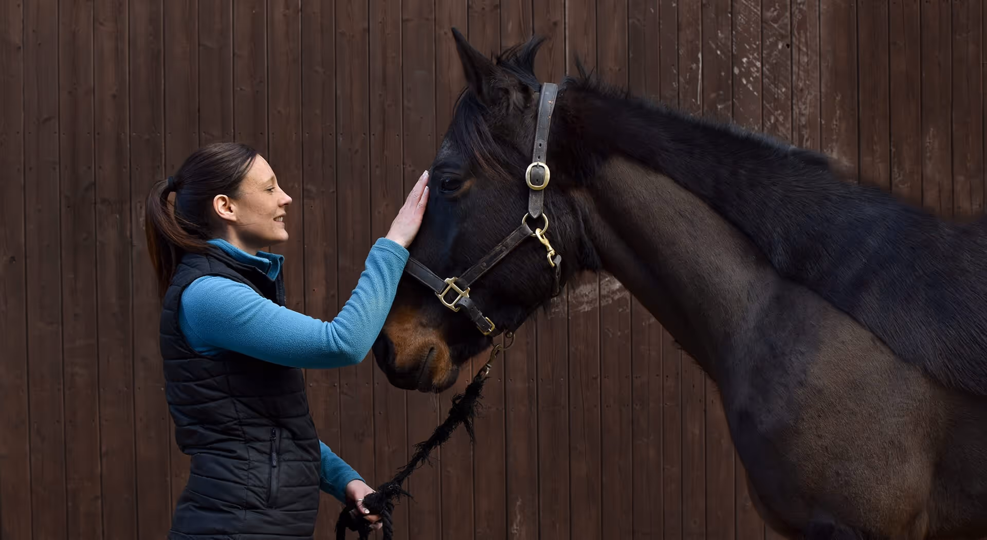 Woman petting a dark horse's forehead while standing in front of a wooden wall.