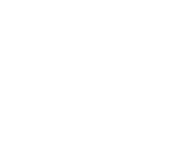 Icon of a leaf inside a circle representing wellbeing and nature.