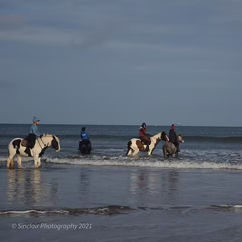 Four people riding horses in shallow ocean water under a cloudy sky.
