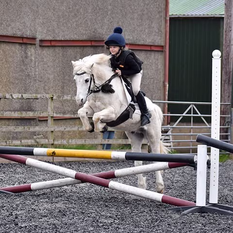 Young rider in helmet jumping a white horse over poles in an outdoor equestrian arena.
