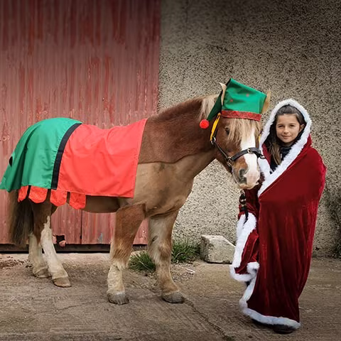 Child wearing a red and white cloak standing next to a pony dressed in red and green holiday costume.