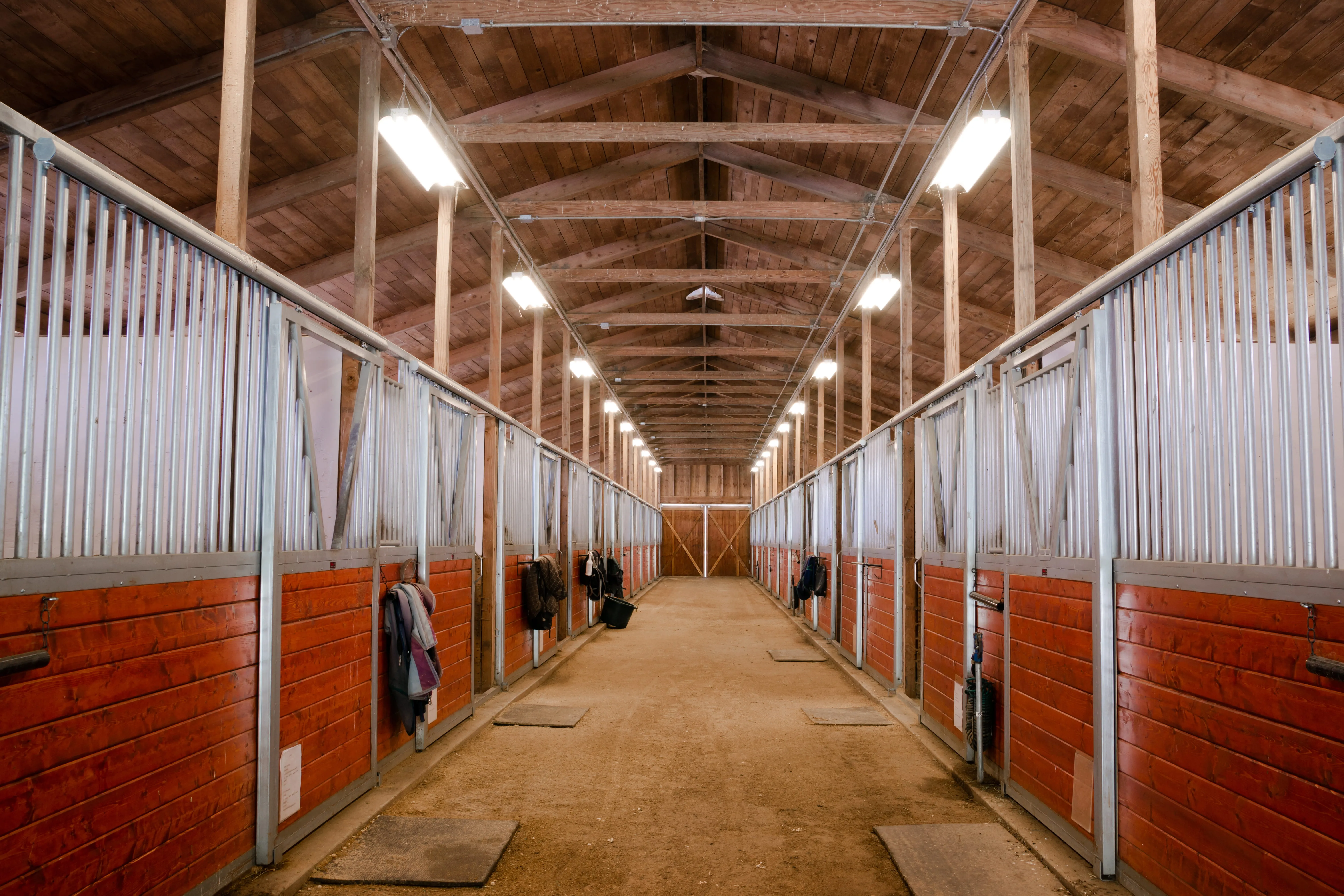 Interior of a clean horse stable with wooden walls and metal bars on each stall under a wooden roof.