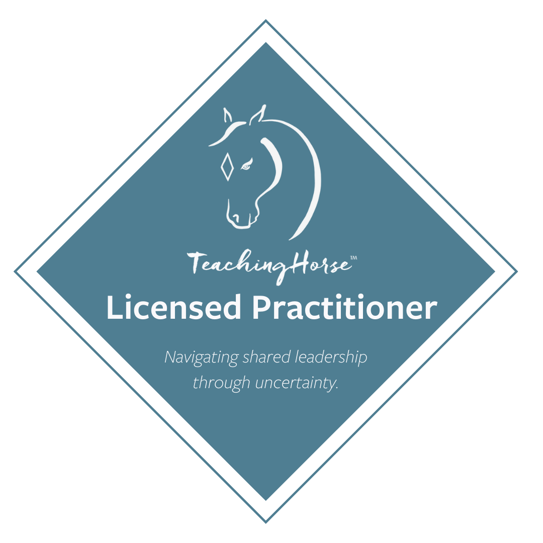 Image For The Clients Content