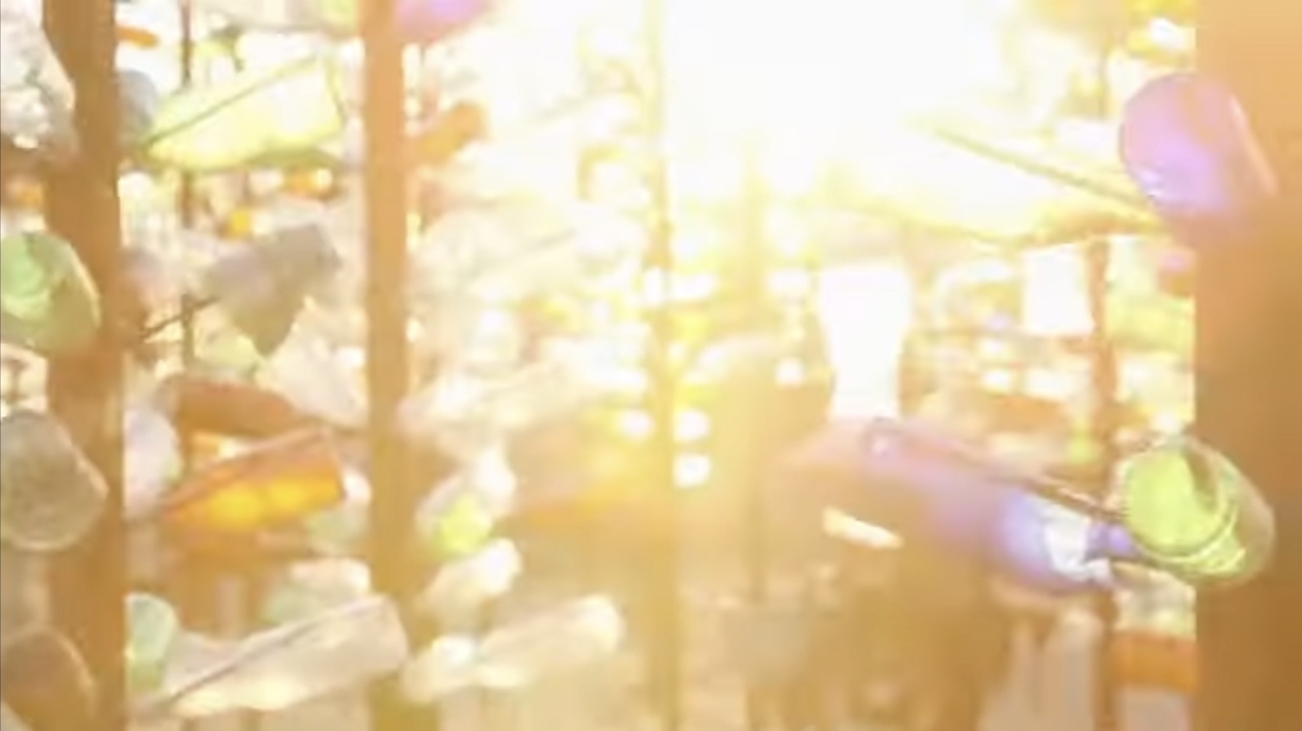 Music video still image sunlight through rows of trees made from bottles attached to metal branches