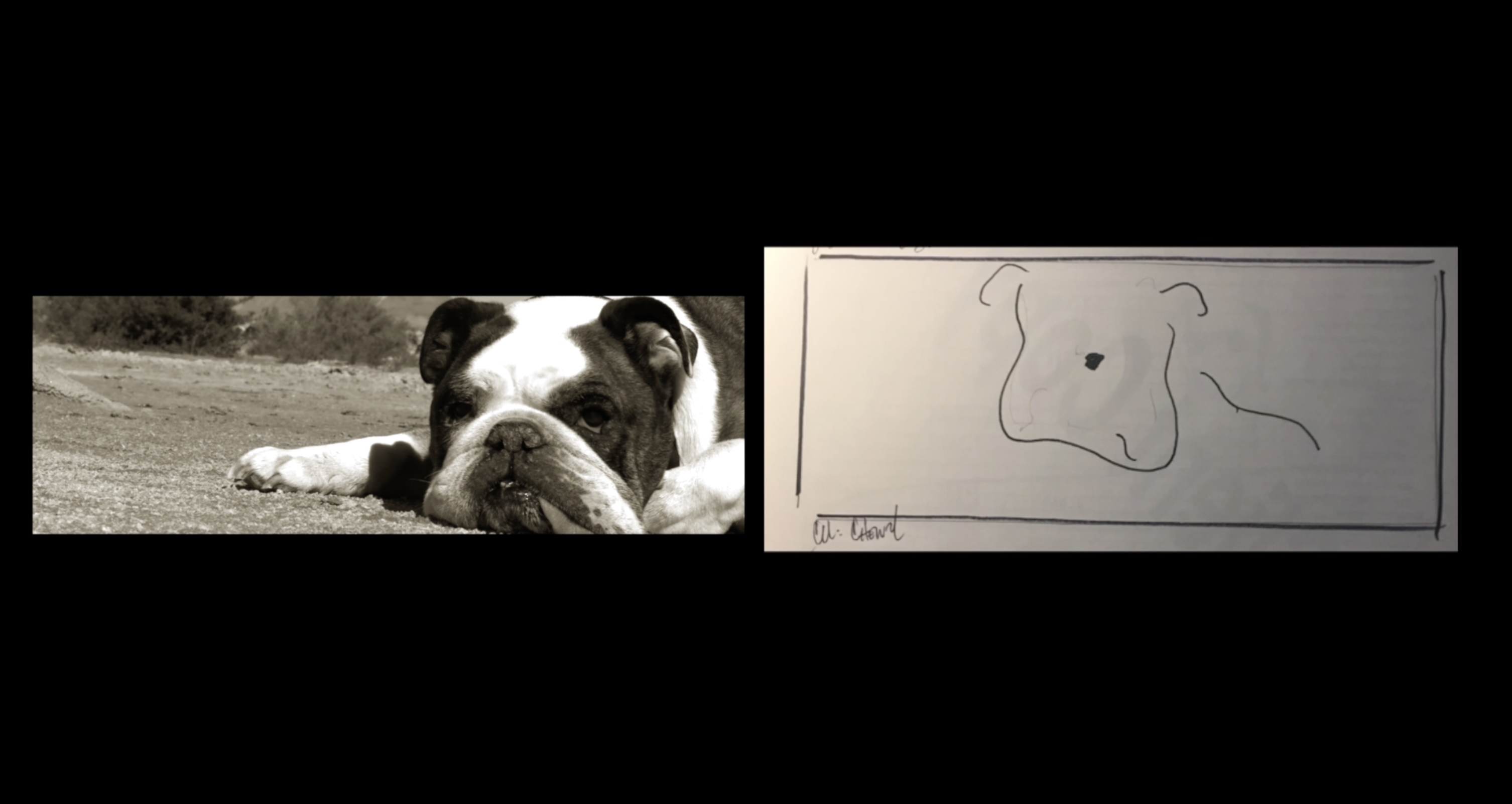 Music video still frame next to corresponding storyboard sketch both of bulldog in closeup