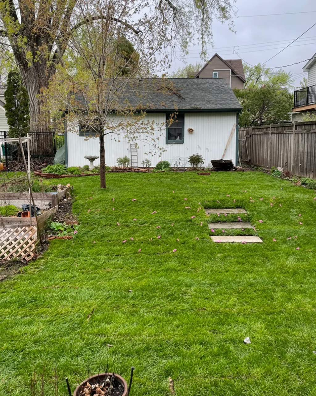 finished sod lawn residential home St. Paul Minnesota