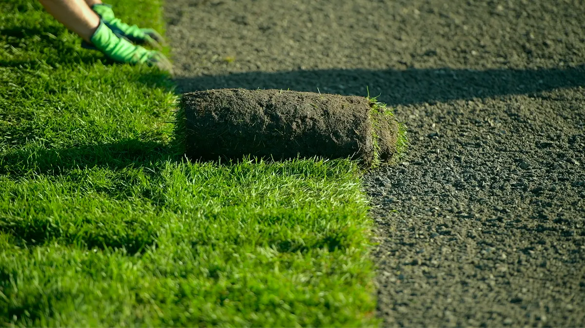 site preparation grading for sod install Twin Cities