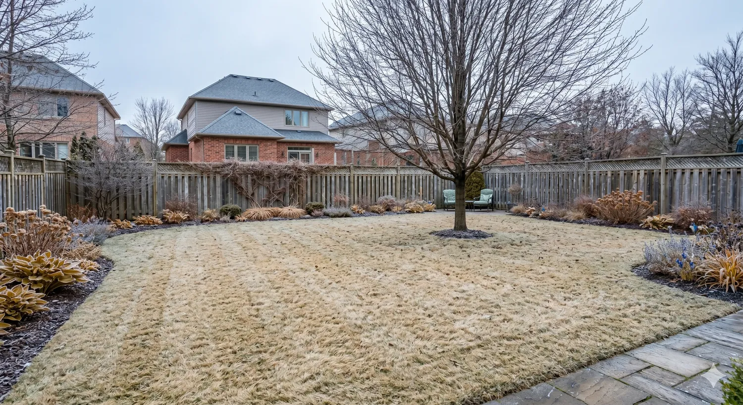 The lawn in winter