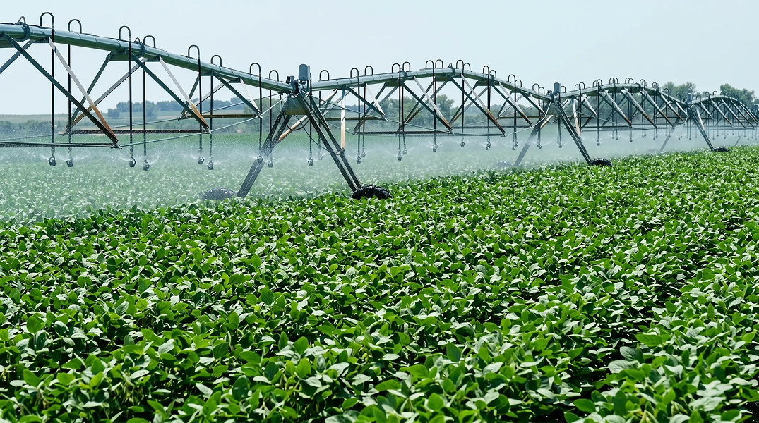 A sweeping, high-altitude, panoramic aerial photograph capturing a vast, intricately patterned agricultural landscape in the Brazilian Cerrado. A prominent, deeply meandering river snakes through expansive, diverse fields of lush, mature green soybean plants. The field patterns are complex, featuring massive, contour-following, curved blocks of soybeans and fields of deep red earth. Interspersed across the fields and actively operating is a monumental, multi-section linear move irrigation system with visible truss work, wheels, and fine water spray, creating a detailed line across the landscape. The perspective is from high above, looking down across the monumental scale to a distant, rolling horizon under a partly cloudy sky. The composition is detailed and high-resolution, focused entirely on natural and agricultural textures. 16:9 aspect ratio.