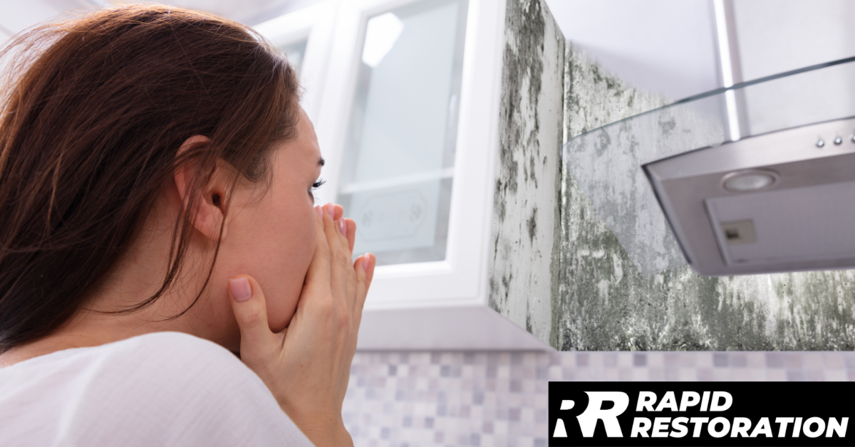 How Mold Affects Indoor Air Quality in Long Island Homes
