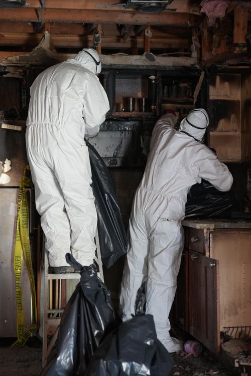 Sewage Cleanup