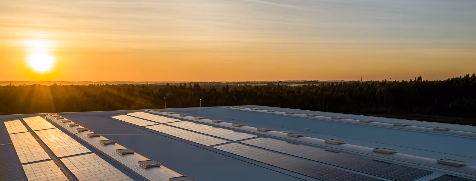 Rows of solar panels on a large commercial rooftop at sunset with trees on the horizon.