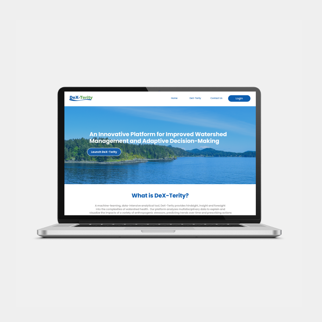 [digital project] image of a complete branding project (for a web design agency)