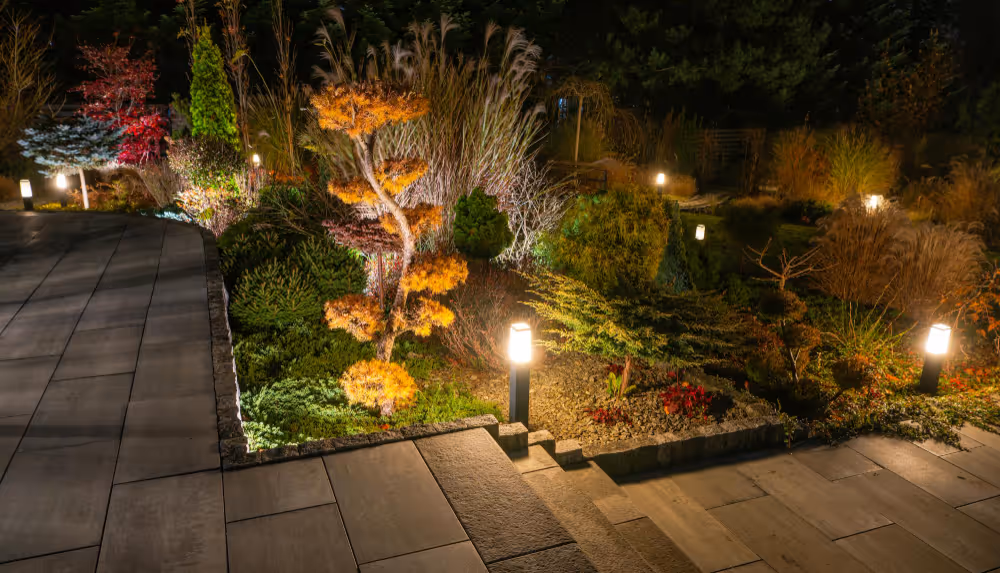 Night view of a garden illuminated by multiple ground lights, featuring various shrubs and ornamental trees with autumn foliage.