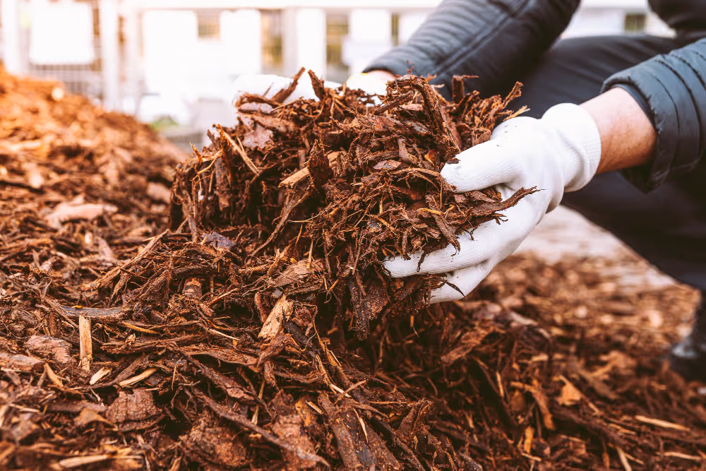 Person wearing white gloves holding a handful of brown mulch with a pile of mulch on the ground.