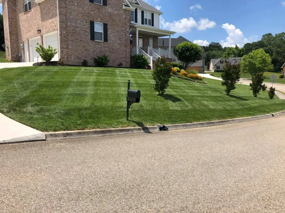 Brick house with a well-maintained front lawn showing freshly mowed grass stripes, small trees, a black mailbox, and a paved street in a suburban neighborhood.