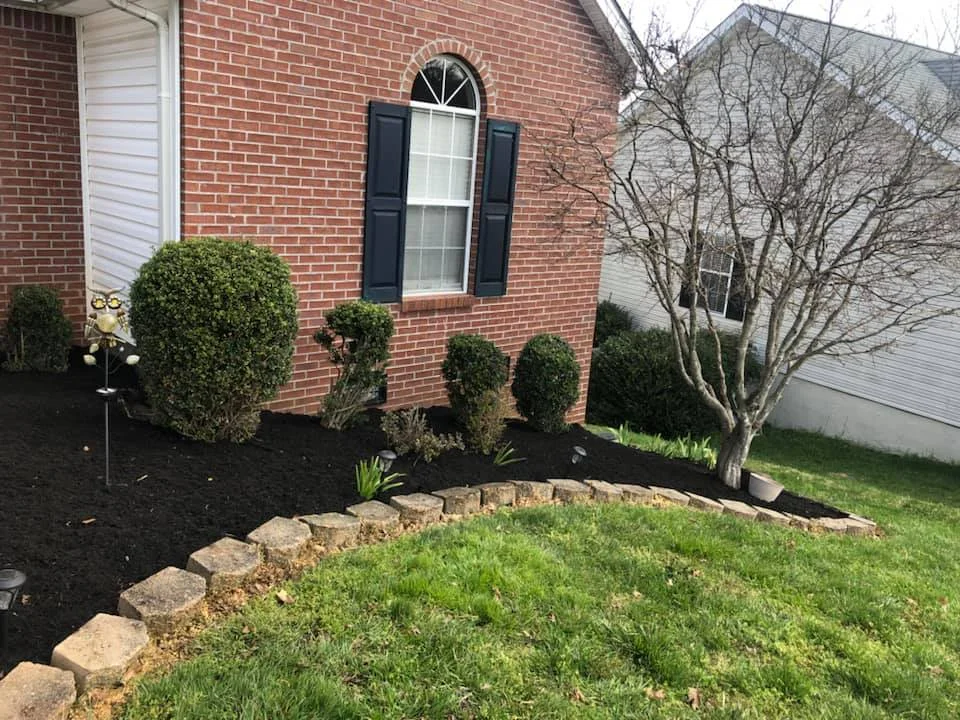 Front yard garden bed with trimmed bushes, mulch, stone border, and a leafless tree next to a brick house with a window.