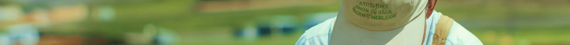 Blurred image of a person wearing a green cap and white shirt outdoors in a grassy area.