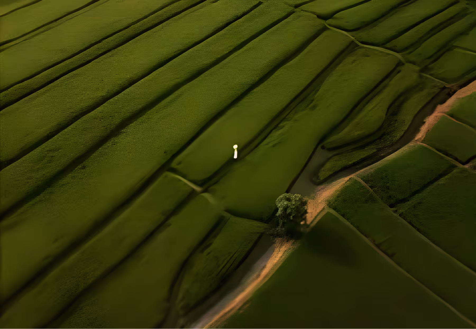 Aerial view of lush green terraced rice fields with a single person wearing a conical hat walking along one terrace, and a tree nearby a dirt path.