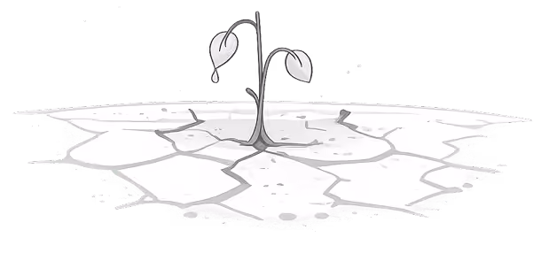 Wilted plant with drooping leaves growing in parched, cracked dry soil.